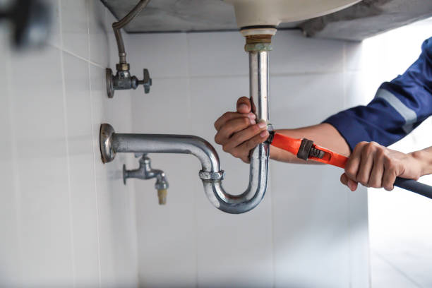 Best Leak Detection Services  in Farmer City, IL